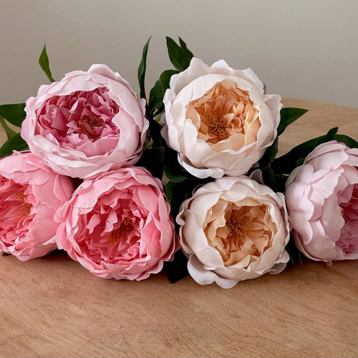 Eucalypt Co. - Wholesale Artificial Flowers - Real Touch Garden Peony1