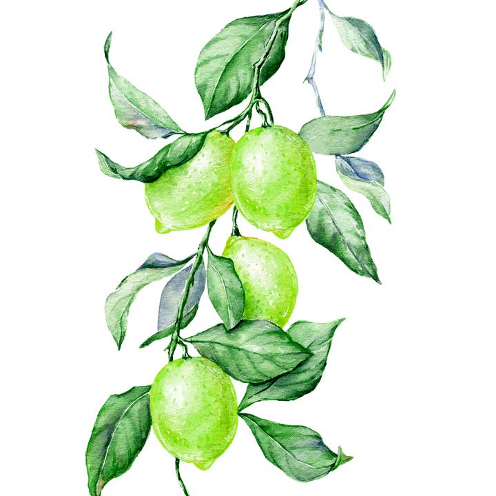 Butterfields Candy - Wholesale Hard Candy - Key Lime Buds4