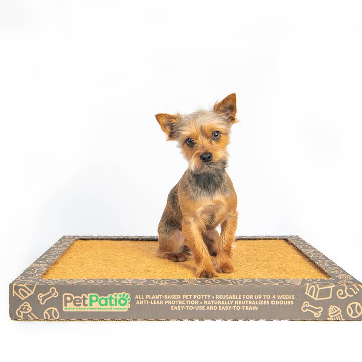 Pot pour animaux de compagnie pour la vente par PetPatio