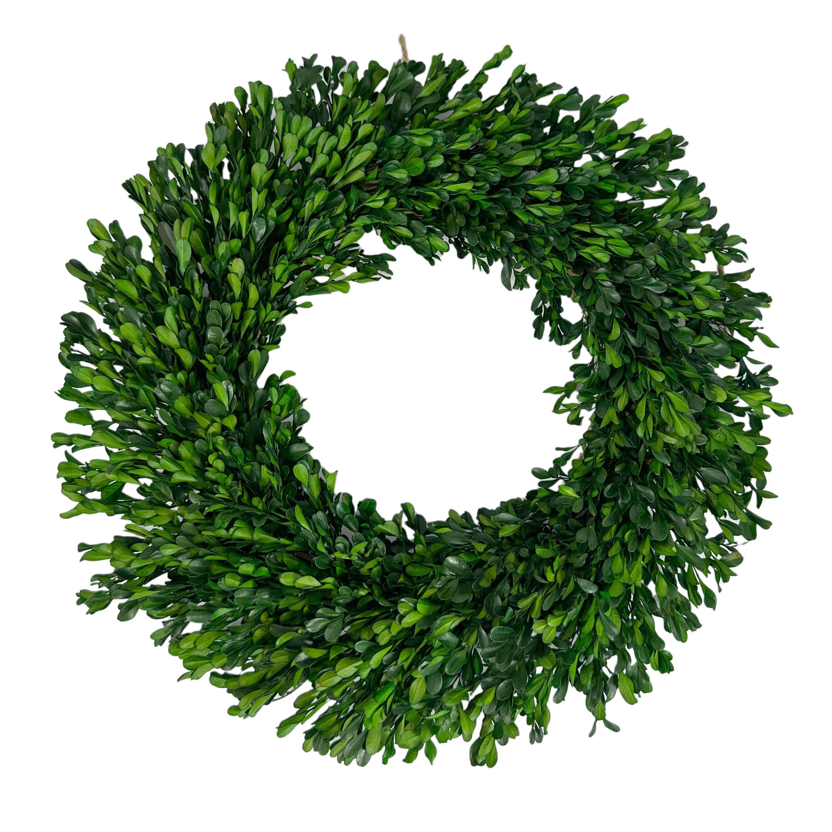 Preserved Boxwood Heart Wreath - 16