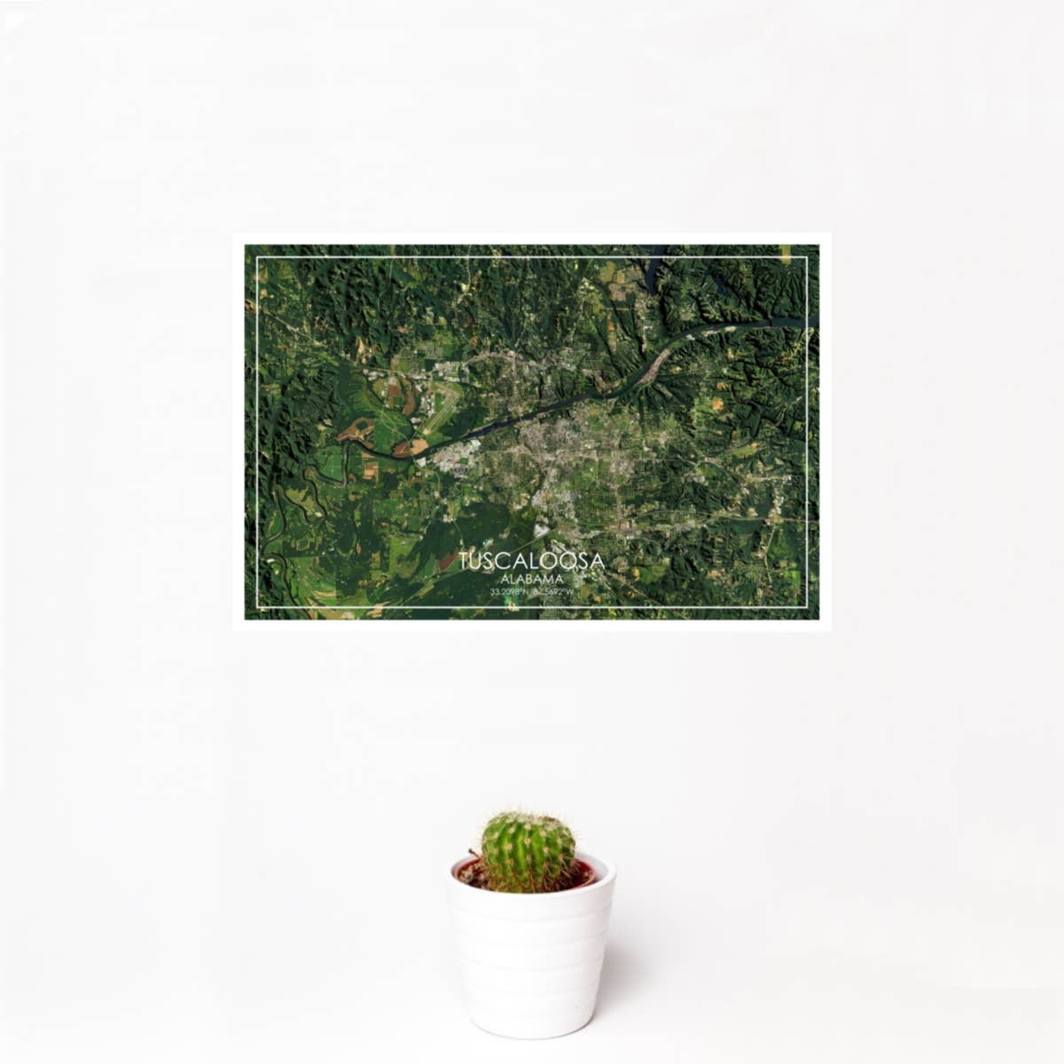 JACE.design - Wholesale Art Print - Tuscaloosa AL Map Print Satellite1