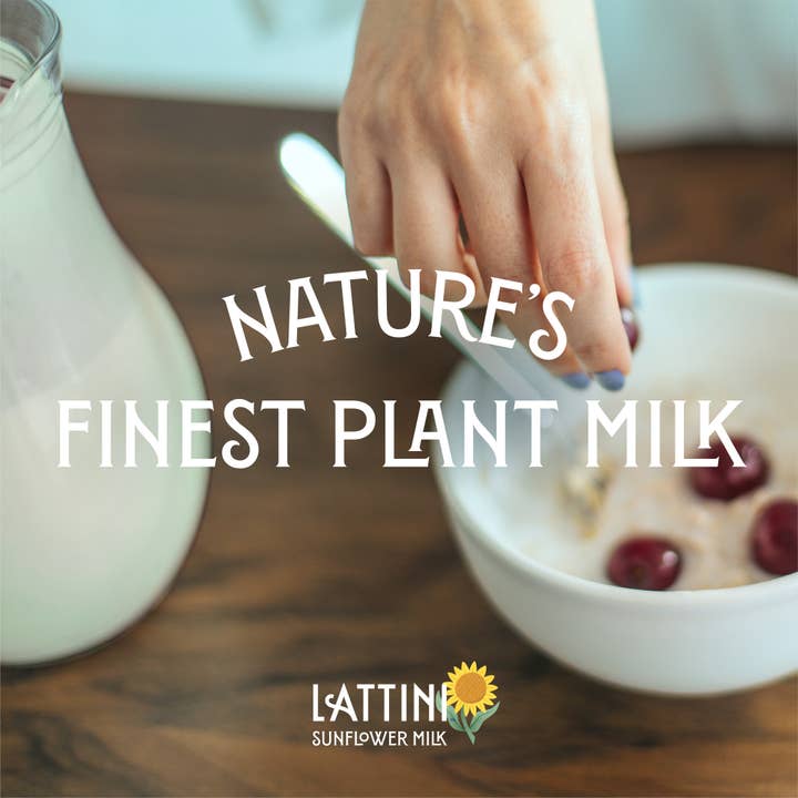 Lattini - Vente Boisson végétale - Lait de tournesol au chocolat LATTINI™ (paquet de 6)