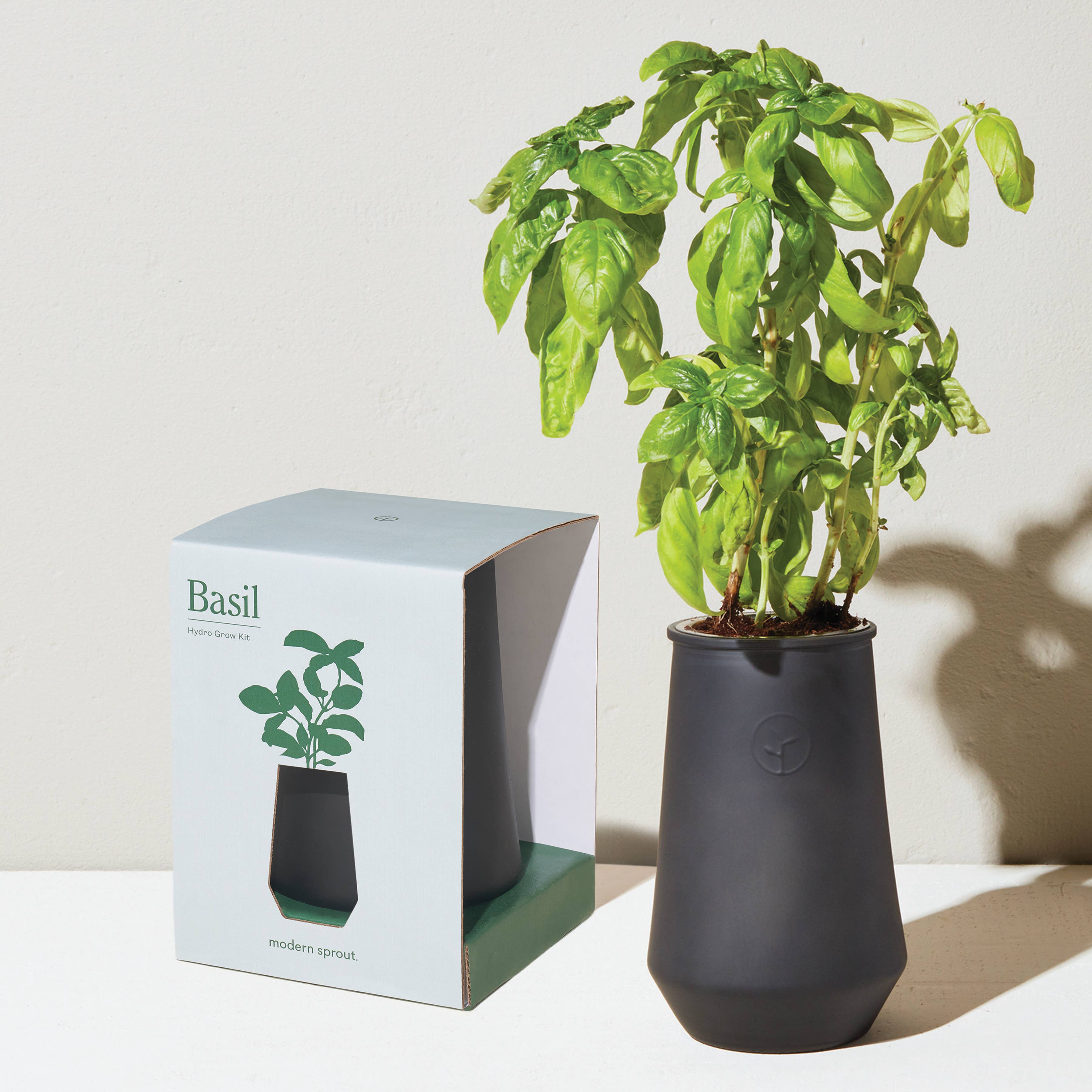 Modern Sprout - Wholesale Plant Pot - Tapered Tumbler9
