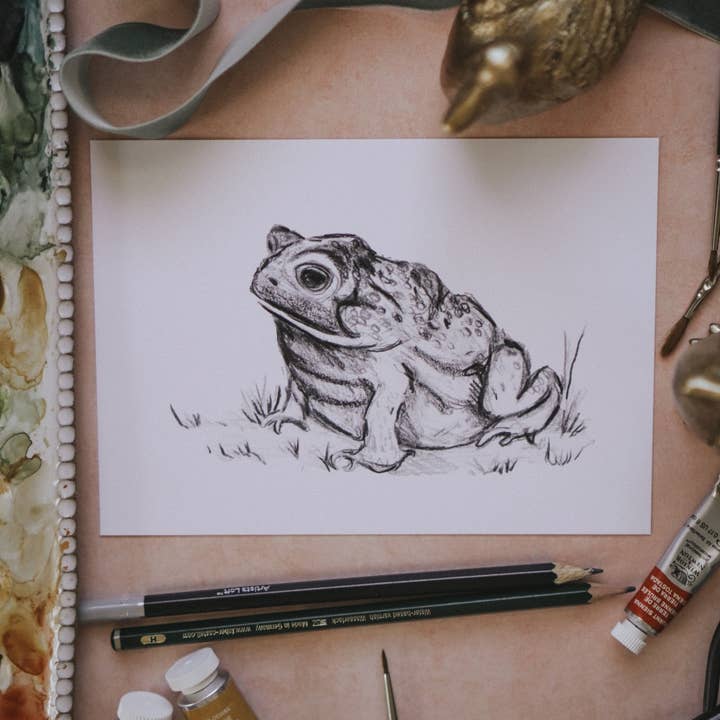 MacaelaMade - Vendita all'ingrosso Stampa artistica - Schizzo di rospo, disegno di rospo, stampa artistica primaverile