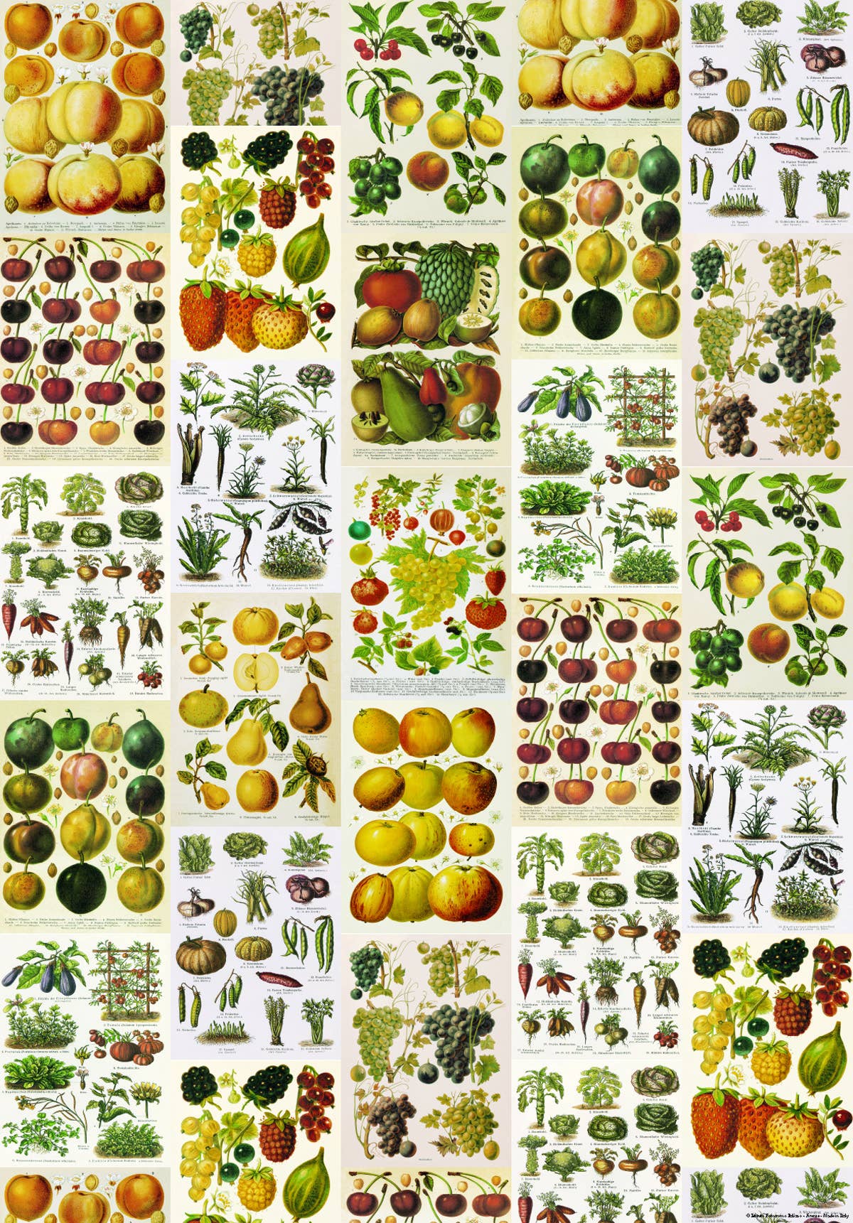 San Lorenzo Design - Wholesale Poster - Vintage Art Posters, Instituto Fotochromo Italiano, Classic1