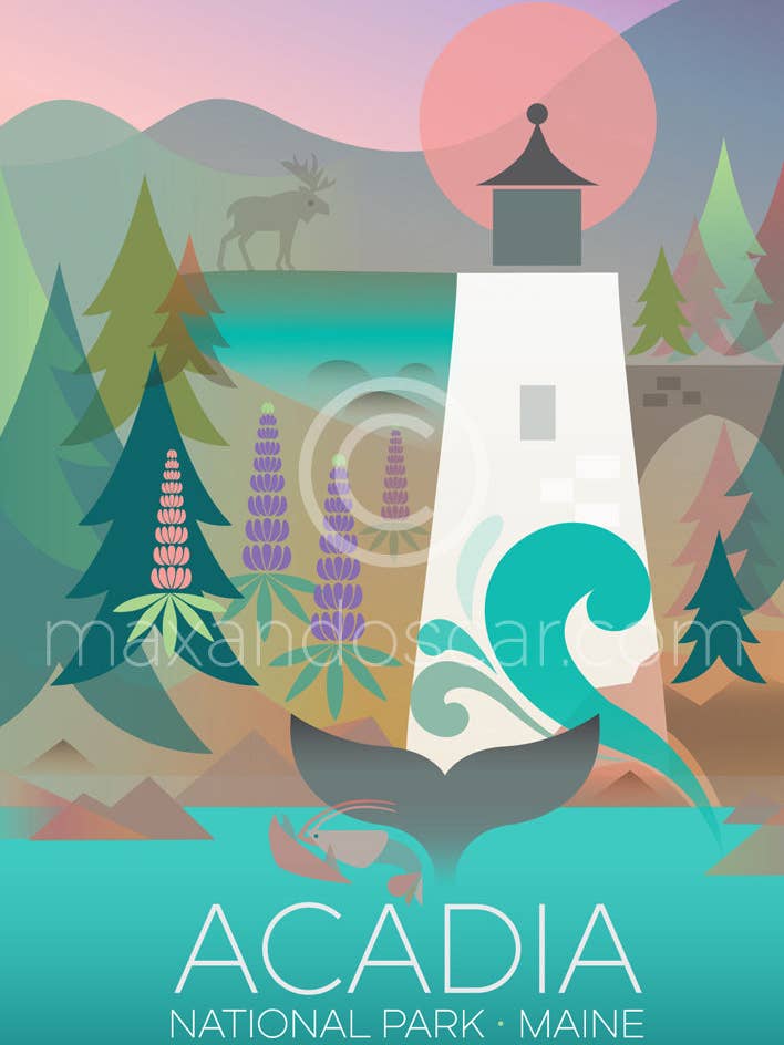 ACADIA NATIONAL PARK POSTCARD for wholesale by Max & Oscar