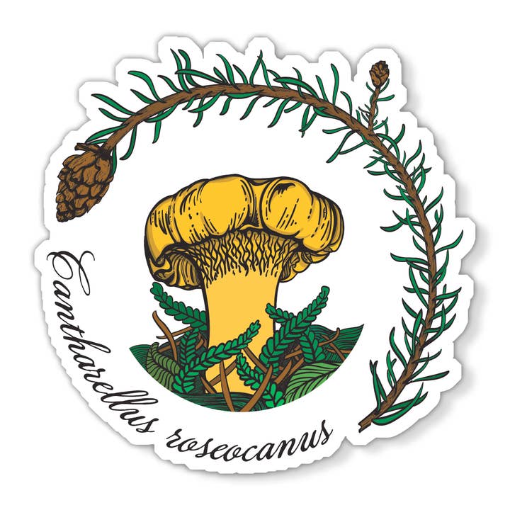 Mushroom Marauder - Venta al por mayor Imanes - Cantharellus roseocanus | Imán realista en forma de hongo1