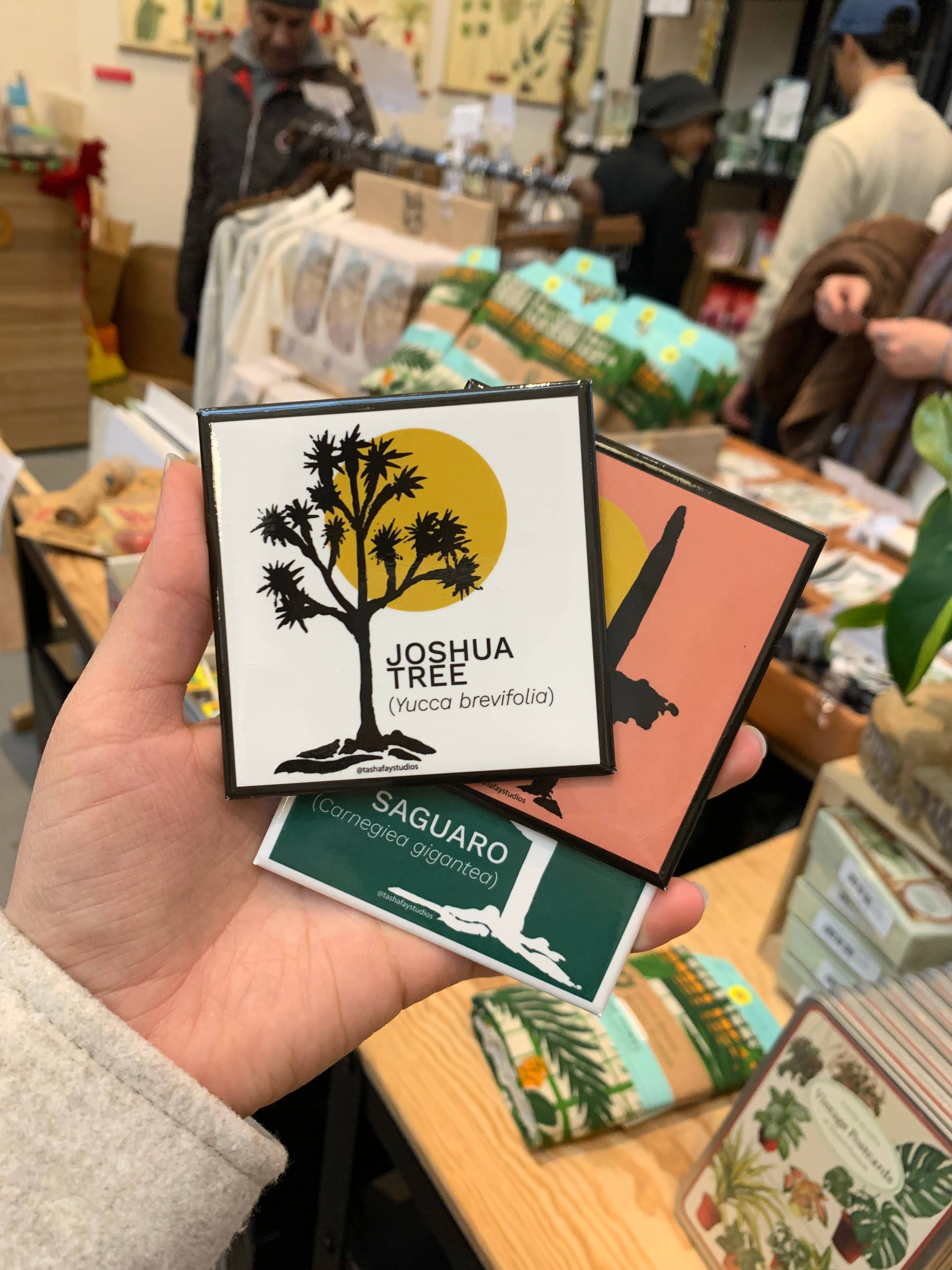 Tasha Fay - Wholesale Magnet - 3" Spanish Dagger Plant Fridge Magnet1