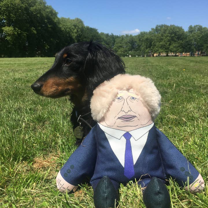 Pet Hates Toys - Wholesale Pet Plush Toy - Dog - Boris dog toy