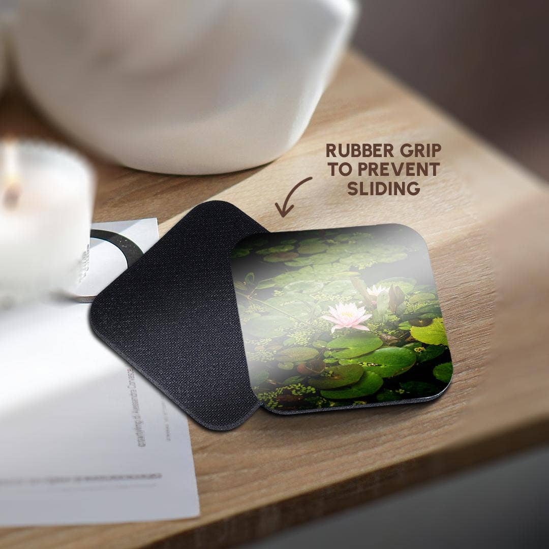 3dRose - Wholesale Coasters - 3dRose, Beautiful pink water lily flower in an artificial pond, Coaster10