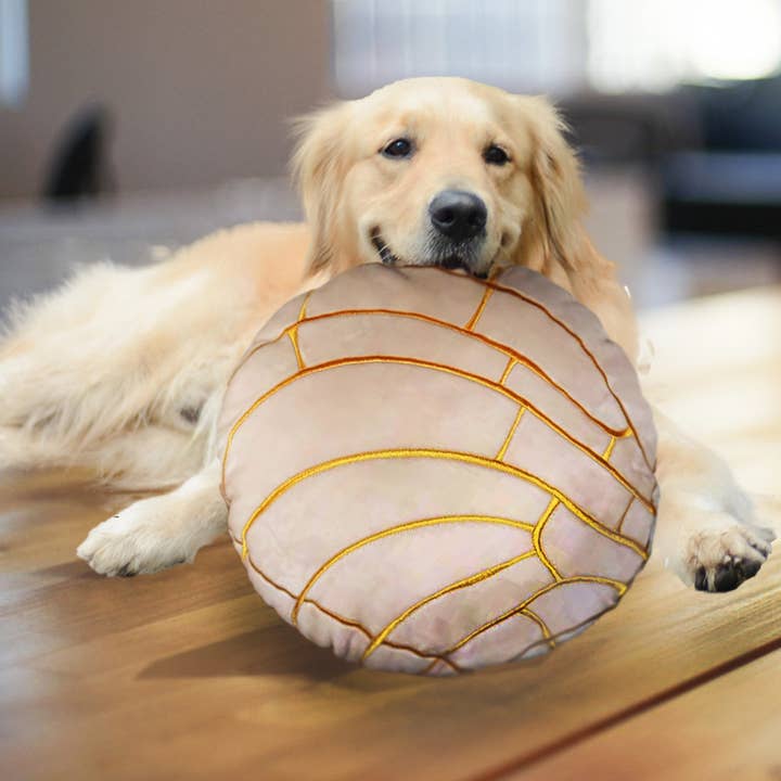 Abound Lifestyle - Wholesale Throw/Decorative Pillow - Concha Bread Decorative Throw Pillow14