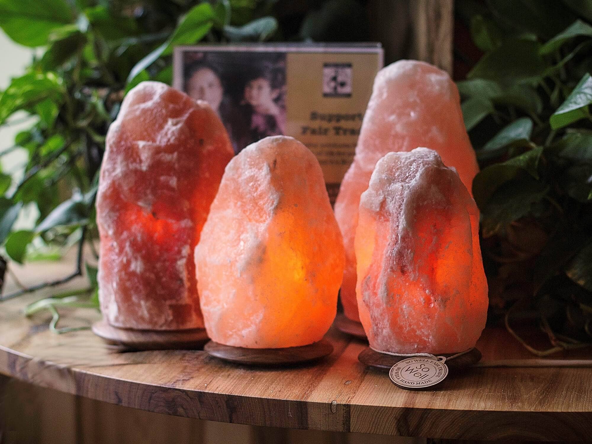 Himalayan Trading Co.® – Candeeiro de sal por atacado – Lâmpada de Sal dos Himalaias Original (2,7–5 kg) com Lâmpada e Cabo com Regulador de Intensidade5