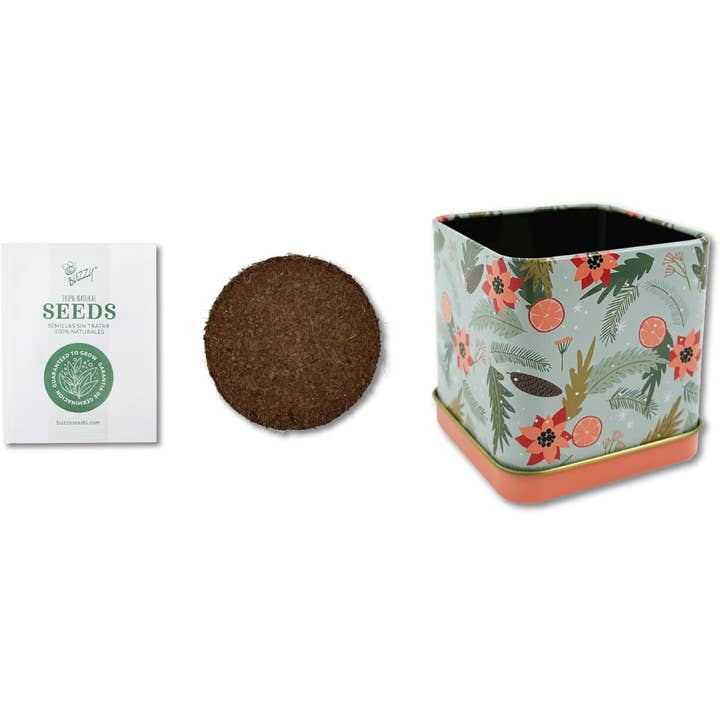 Buzzy, Inc. - Wholesale Plant Seeds - Buzzy Seeds Holiday Square Tin - Mint