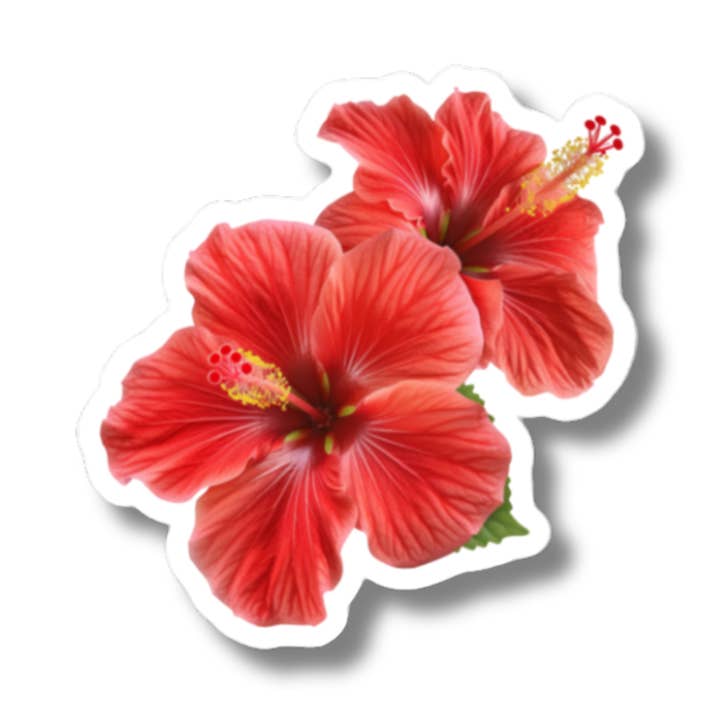 Hibiscus rouge double pour la vente par Kāpili