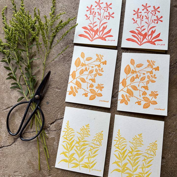 Late Summer Wildflower Card Set - 6 letterpress cards for wholesale by Ratbee Press