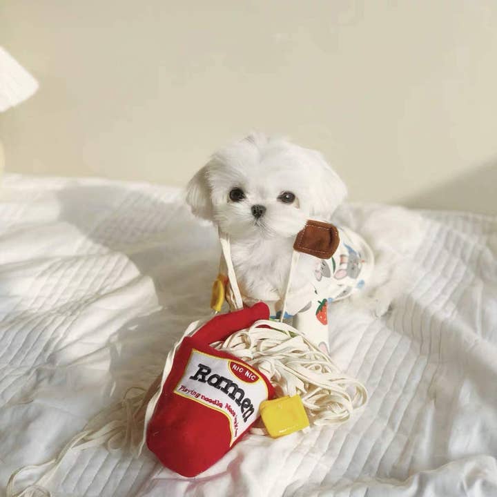 Jouet de nez Slurpy Ramen pour la vente par NOWK.