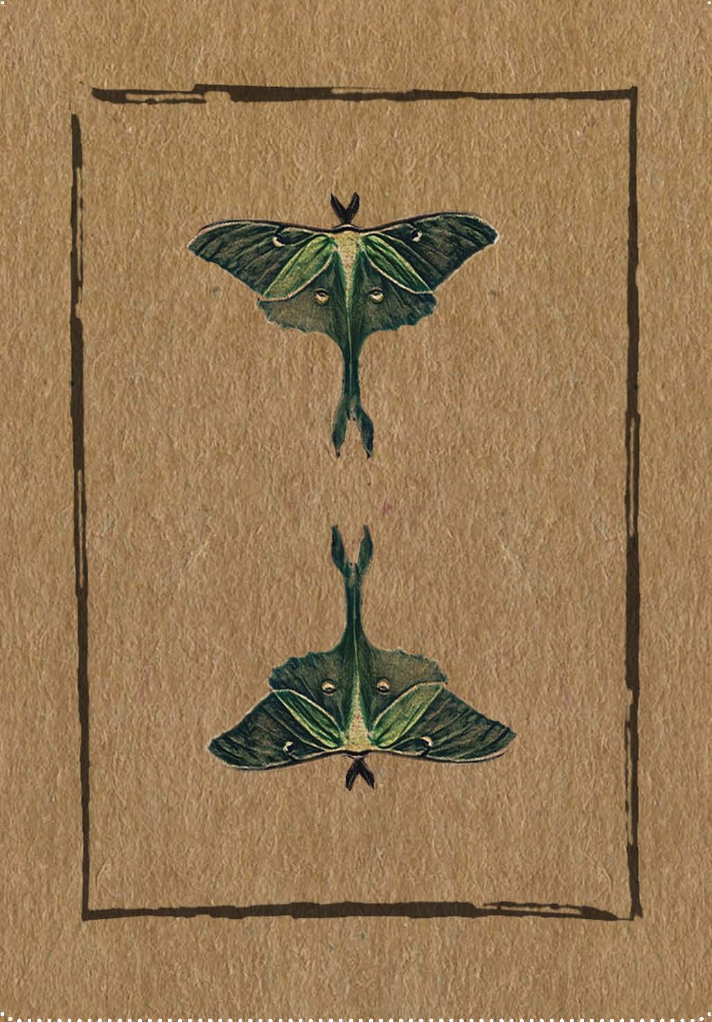 Red Wheel/Weiser LLC - Wholesale Tarot Cards - Conjure Cards: Fortune-Telling Card Deck and Guidebook13