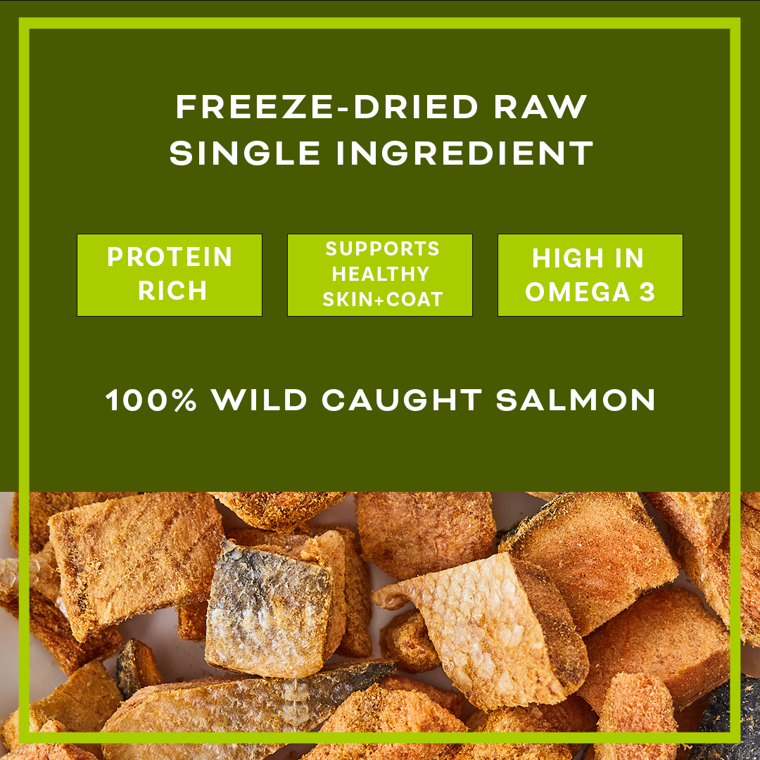 BARKIN - Wholesale Pet Treats - Dog - FREEZE DRIED WILD CAUGHT SALMON SINGLE INGREDIENT TREATS 3oz4