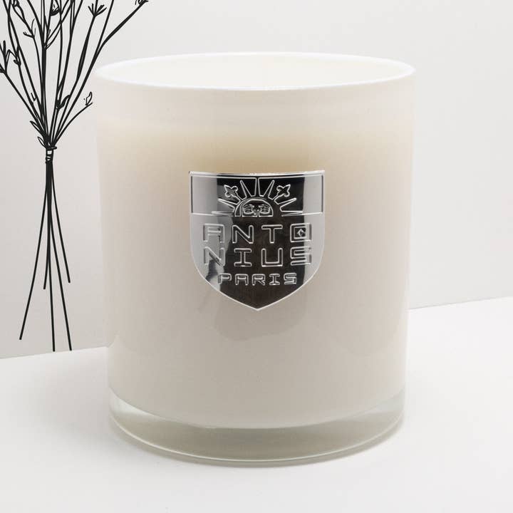 Wildblumen-Champagner für den Großhandel von Maison Antonius