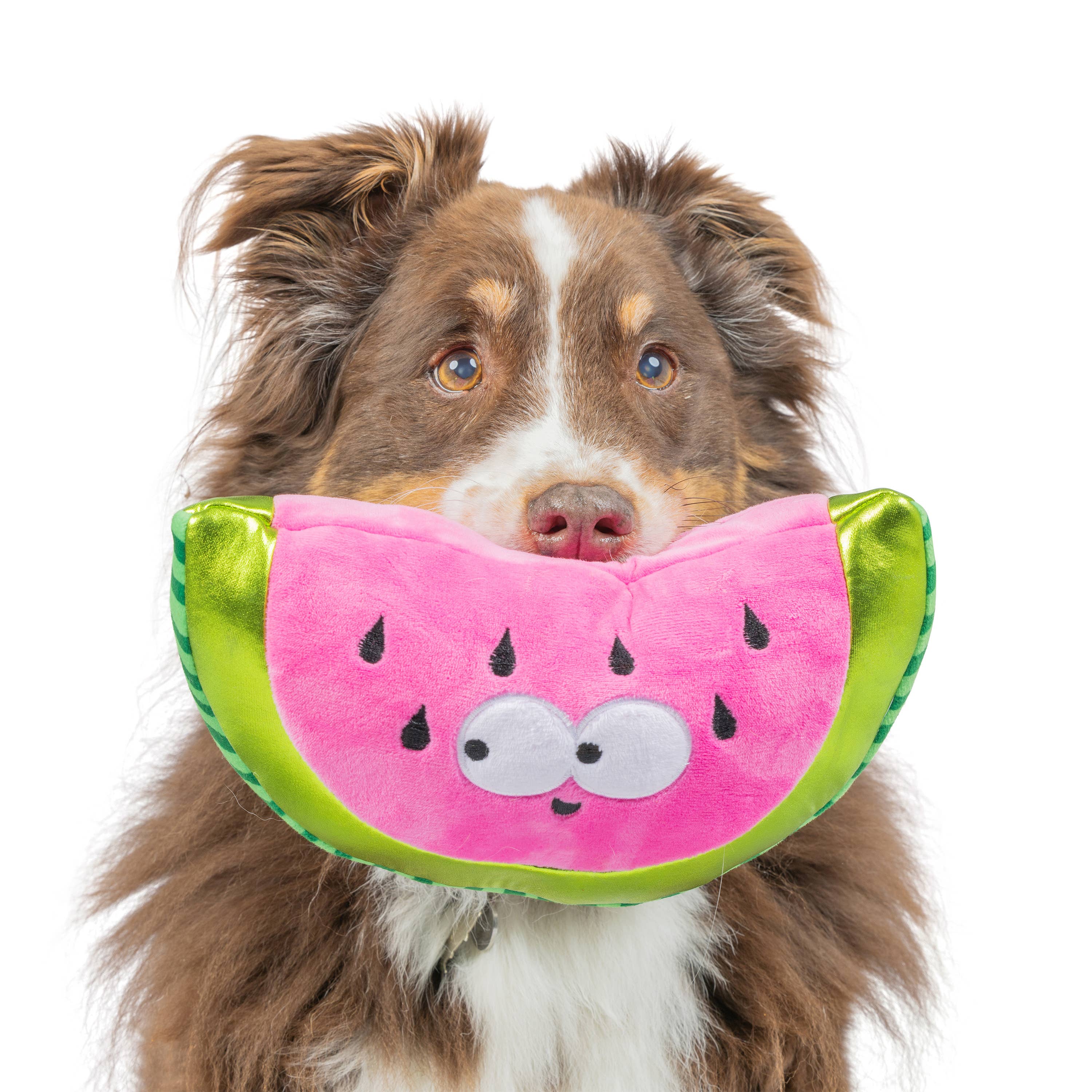 Huxley & Kent – wholesale Pet plush toy – Dog – Fetchies® Walter Melon Dog Toy1
