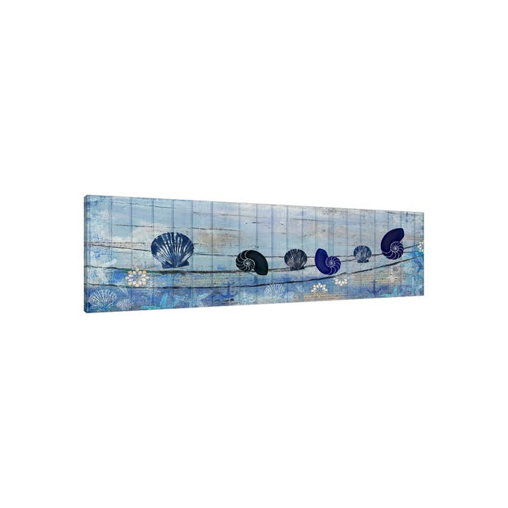 Coastal Shells Gallery Wrapped Canvas for wholesale by Jaxson Rea