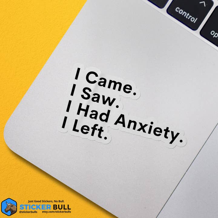 Sticker Bull - Wholesale Sticker - I Came, I Saw, I Had Anxiety, I Left Sticker, Funny Sticker, Meme Sticker, Vinyl Sticker for Laptop, Car Or Water Bottle, Quote Sticker