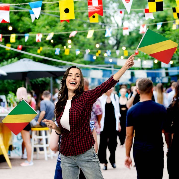 Flags Importer - Wholesale Flag - Congo Republic 12x18in Stick Flag1