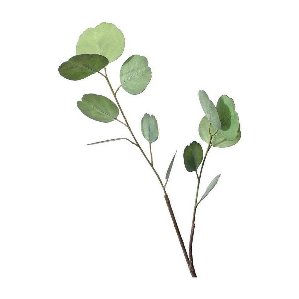 AULICA – wholesale Konstgjorda blommor – Ljusgrön dekorativ eucalyptusblomma h 65 cm0
