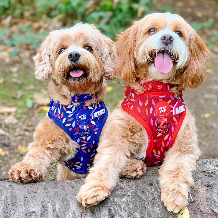 WYLD CUB - Wholesale Pet Harness - Dog - Adjustable Dog Harness: Hampstead Fireside23
