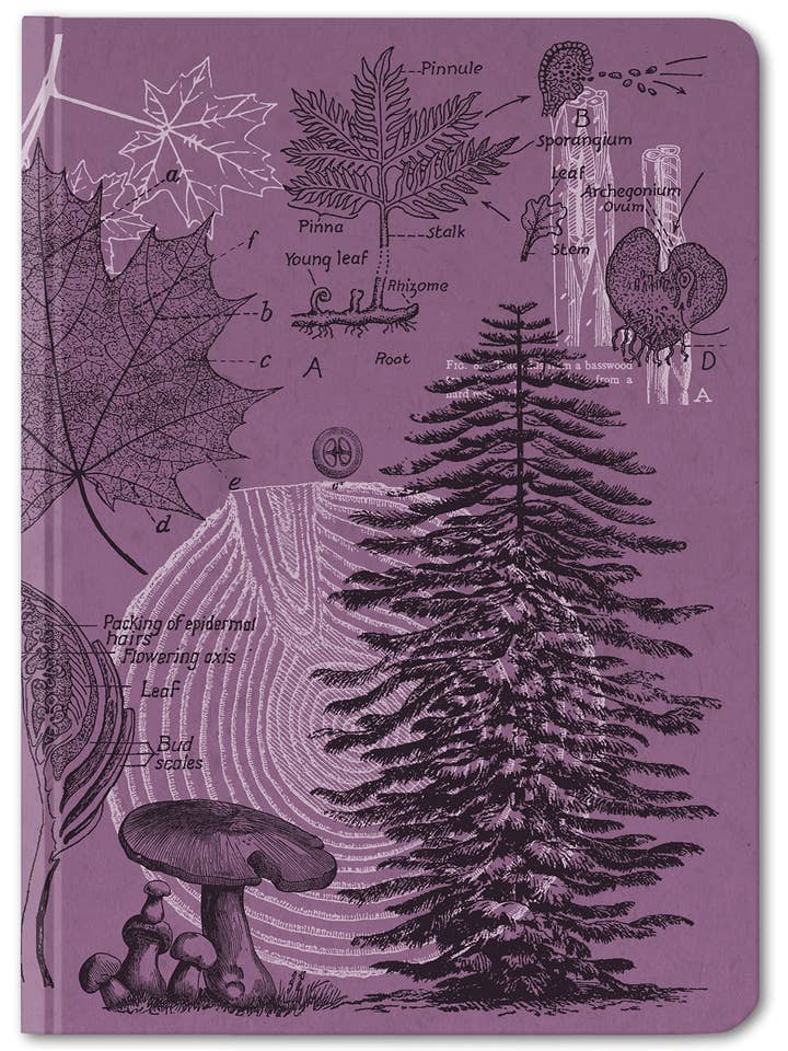 Floresta ao Anoitecer Capa Dura - Página Linhada/Quadriculada (Caixa de 6) por atacado de Cognitive Surplus