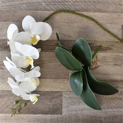 David Christopher's Collection - Wholesale Artificial Flowers - 33” Phalaenopsis Spray