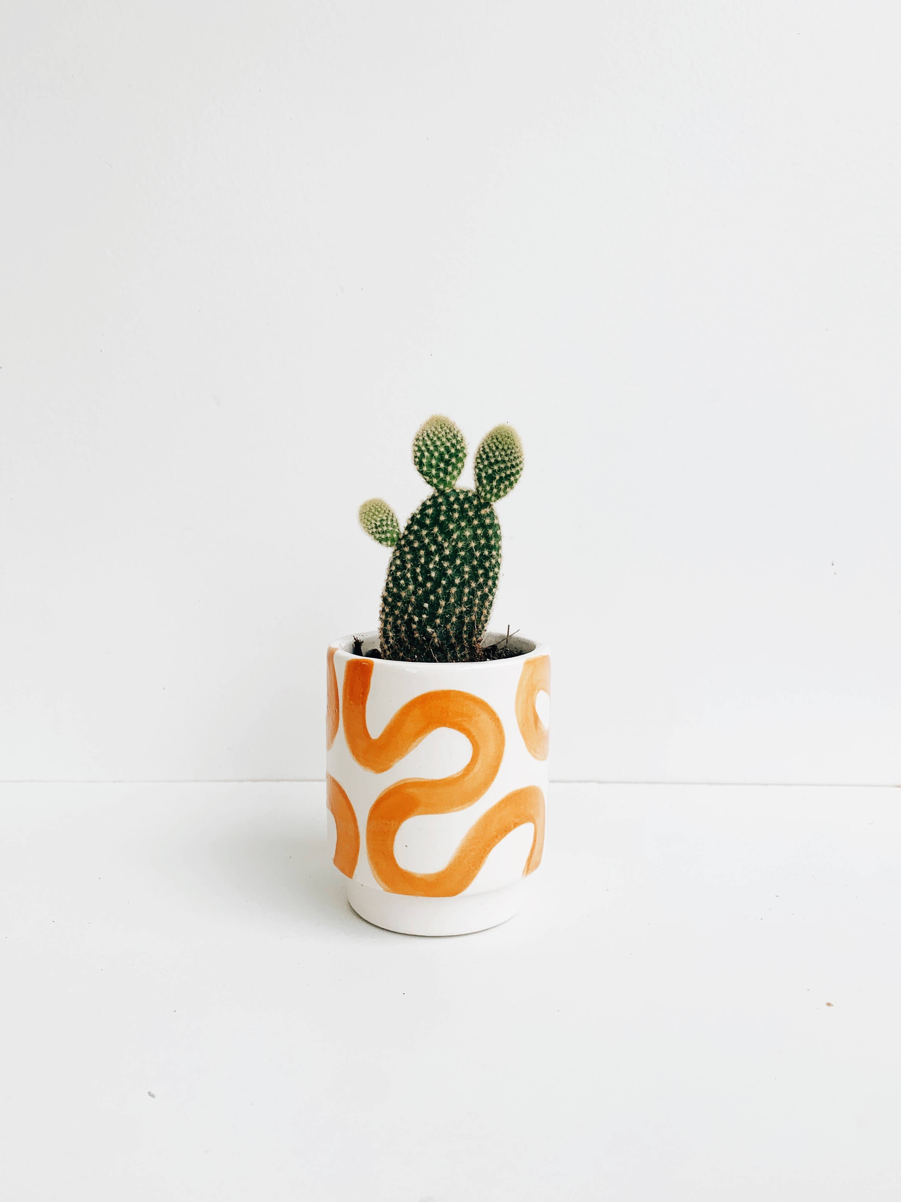Luna Reece Ceramics - Wholesale Plant Pot - Squiggle Pots1
