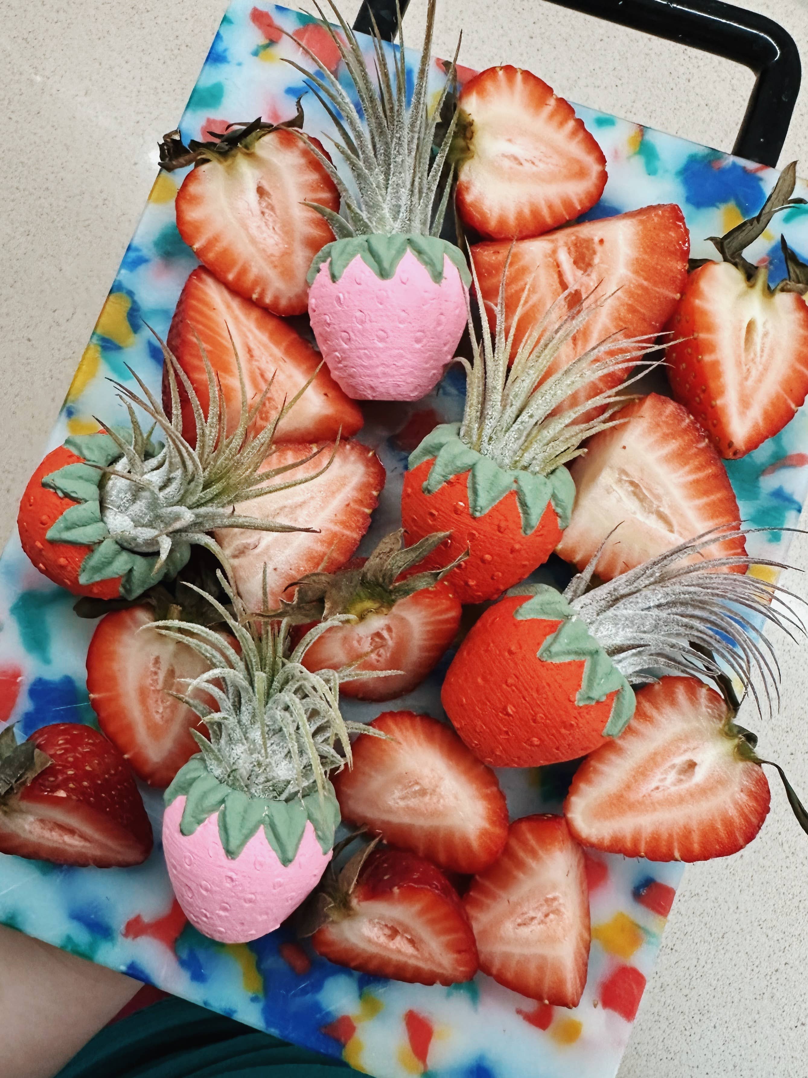 O'Berry's Succulents - Wholesale Plant Pot - Pink Strawberry Patch Mini Planter and Air Plant3