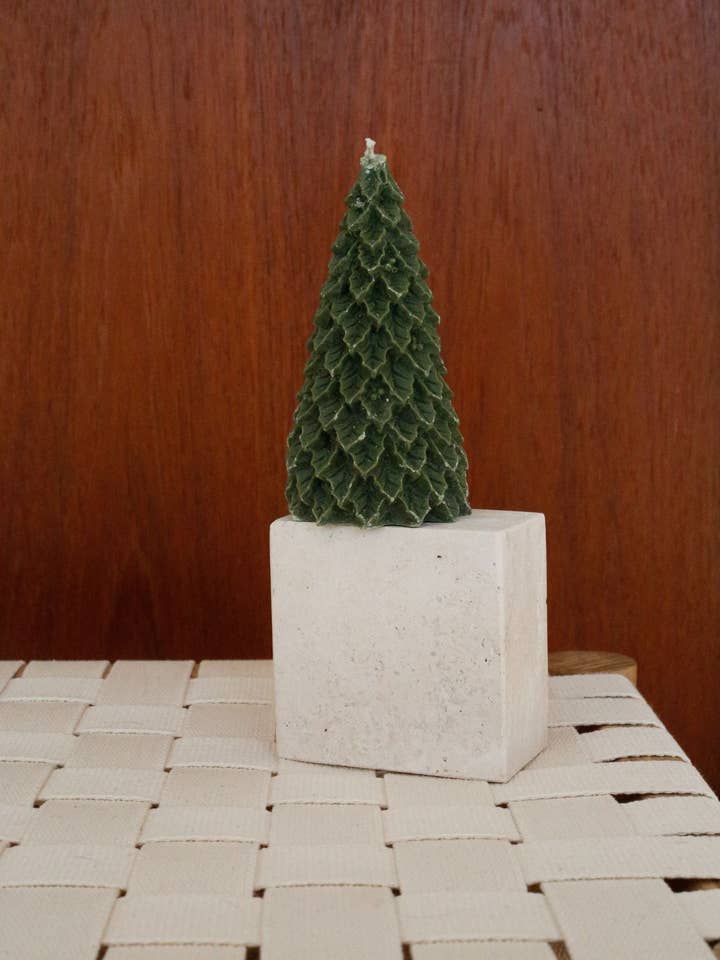 Winterboom - olijf voor wholesale door HOTEL LIMA STUDIO