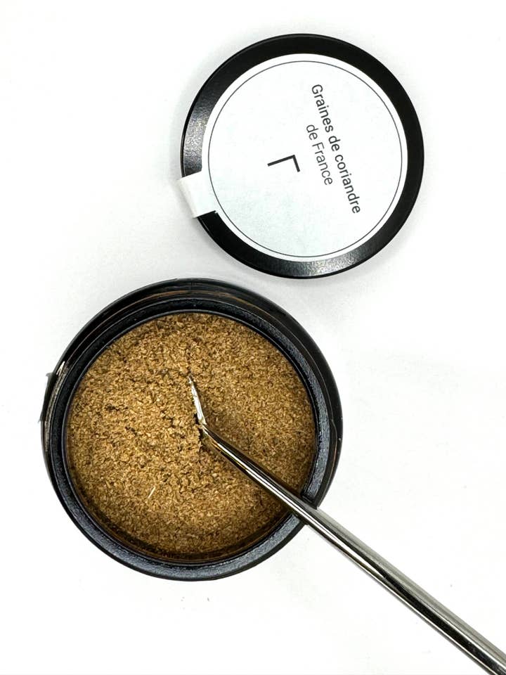 Sementes de coentro da França por atacado de GAMMA l’audace des epices