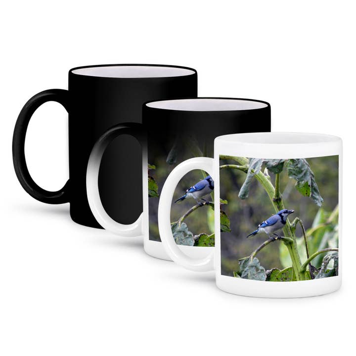3dRose, Blue Jay with Sunflower Seed About to Fly, Mug and other Purchase Wholesale sunflower chips bird seed. Free Returns & Net 60 Terms on Faire trending on Faire.