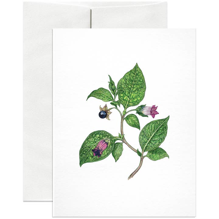 Open Sea - Wholesale Everyday Greeting Card - Deadly Nightshade Poison Greeting Card
