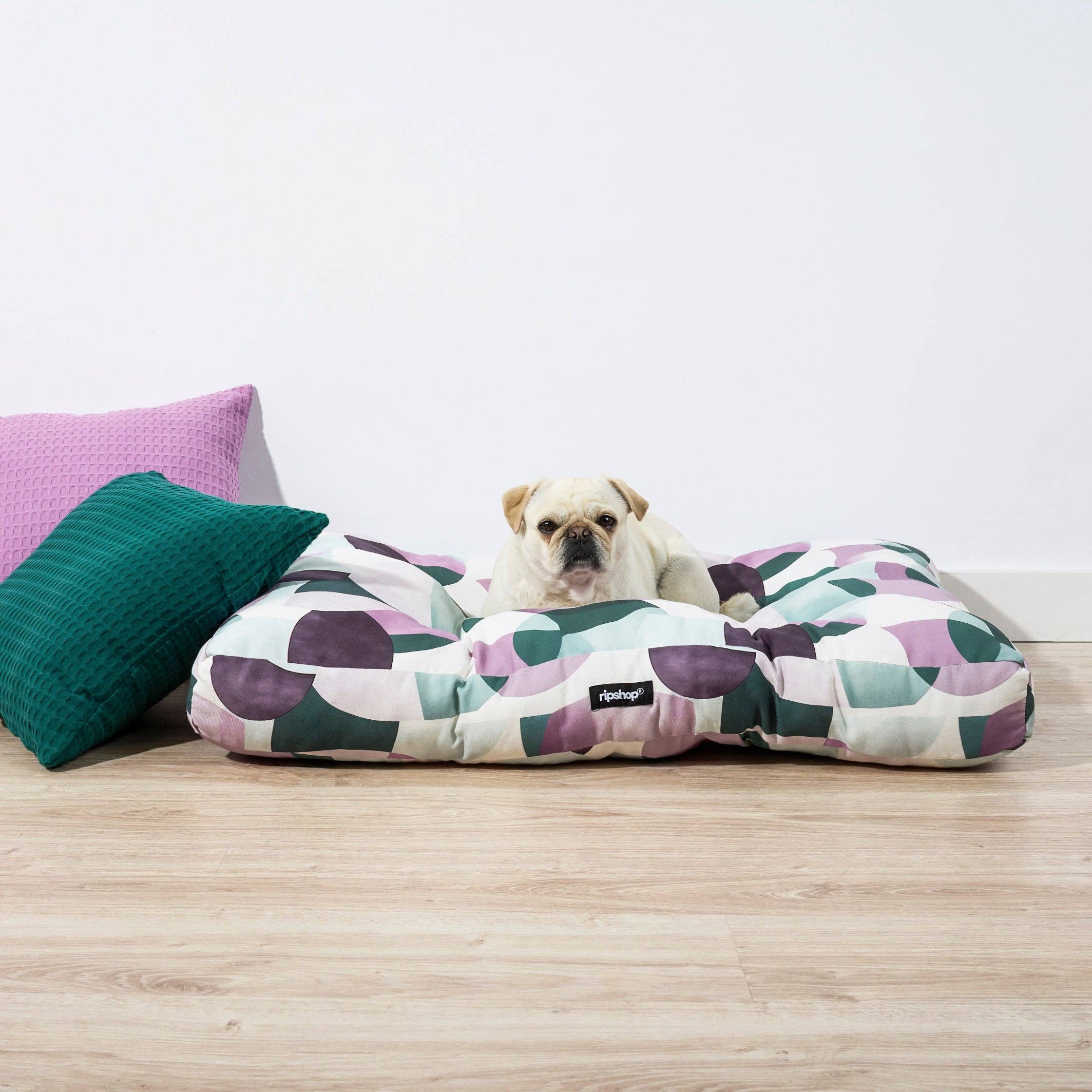 SG HOGAR - Vente Panier – chien - Panier pour animaux York Lilac 100 % coton, résistant aux taches2