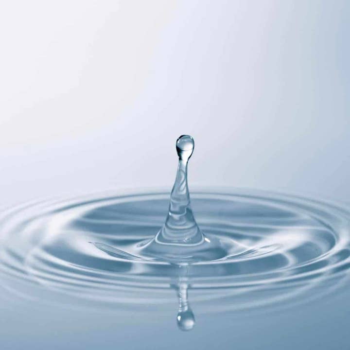 Fizzy Whiz - Wholesale Sparkling Water - Distilled Water