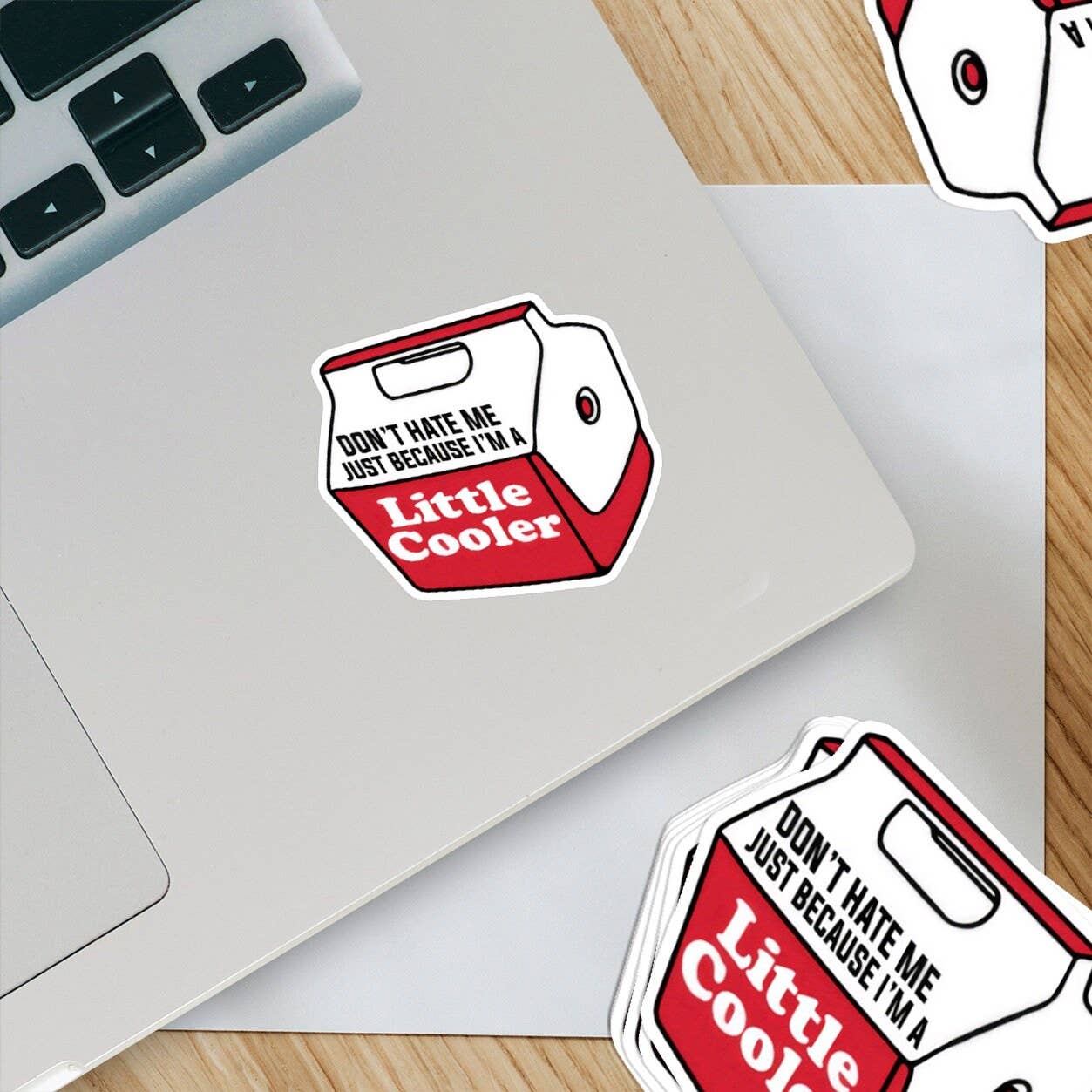 Ozark Sticker Company - Wholesale Sticker - Don't Hate Me Just Because I'm a Little Cooler Sticker1