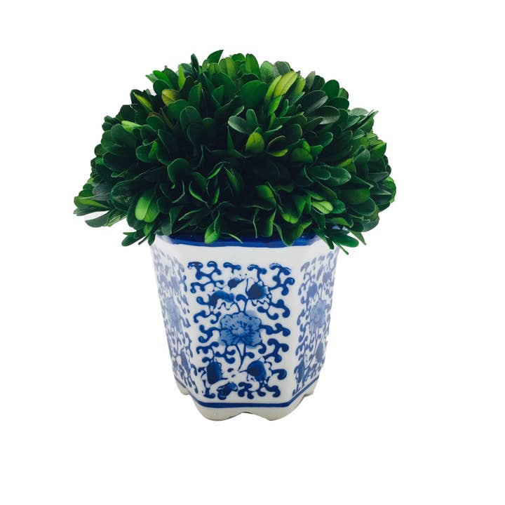 Galt International Company - Vendita all'ingrosso Piante artificiali - Topiaria a forma di palla di bosso in vaso esagonale in ceramica blu e bianca