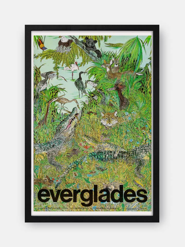 Parque Nacional de los Everglades (Florida) — Póster de viaje vintage para venta al por mayor de The Curious Desk
