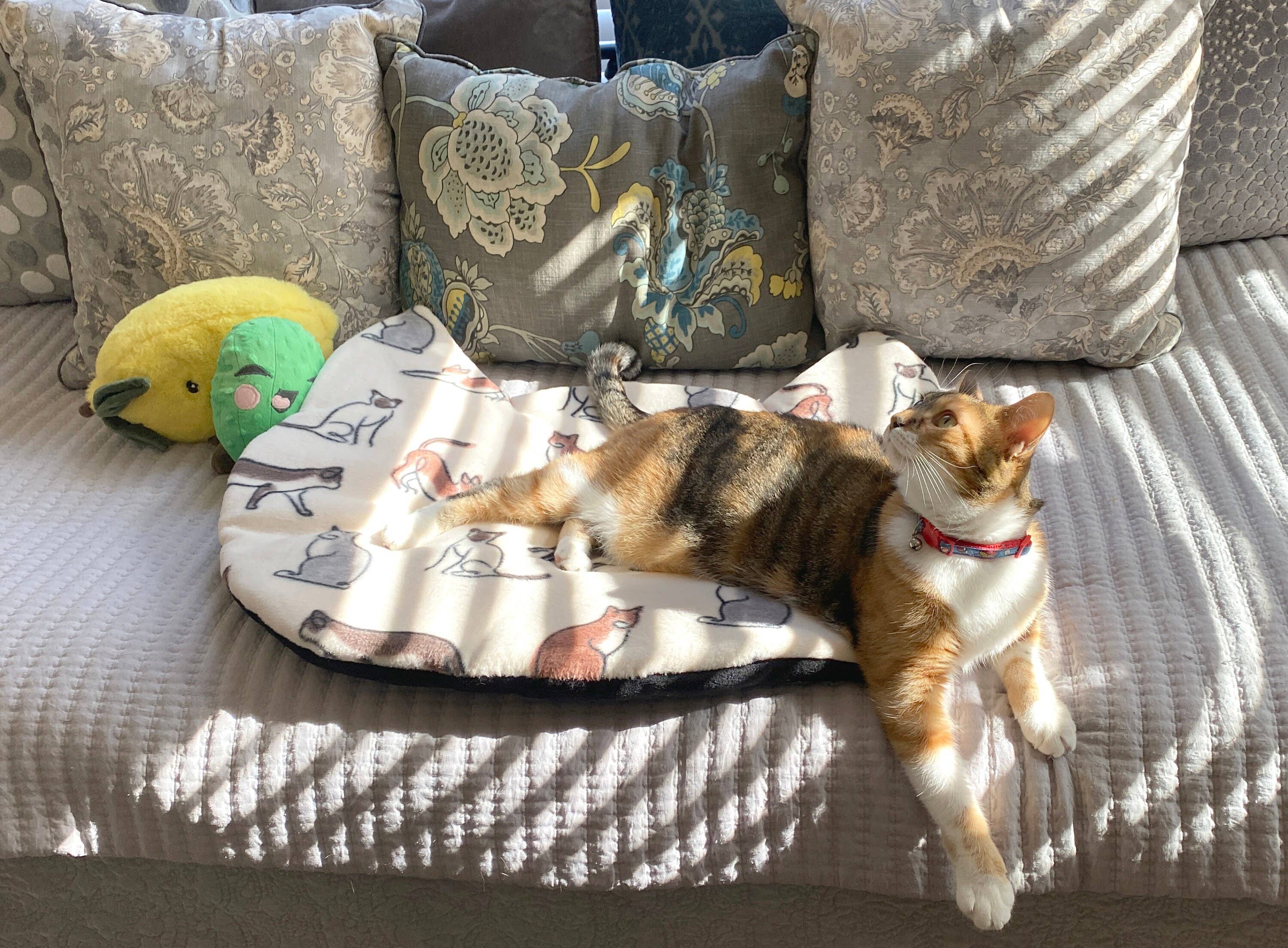 Screaming Pickles - Vente Lit – chat et chien - Liter/tapis pour animaux de compagnie fait main avec tête de chat