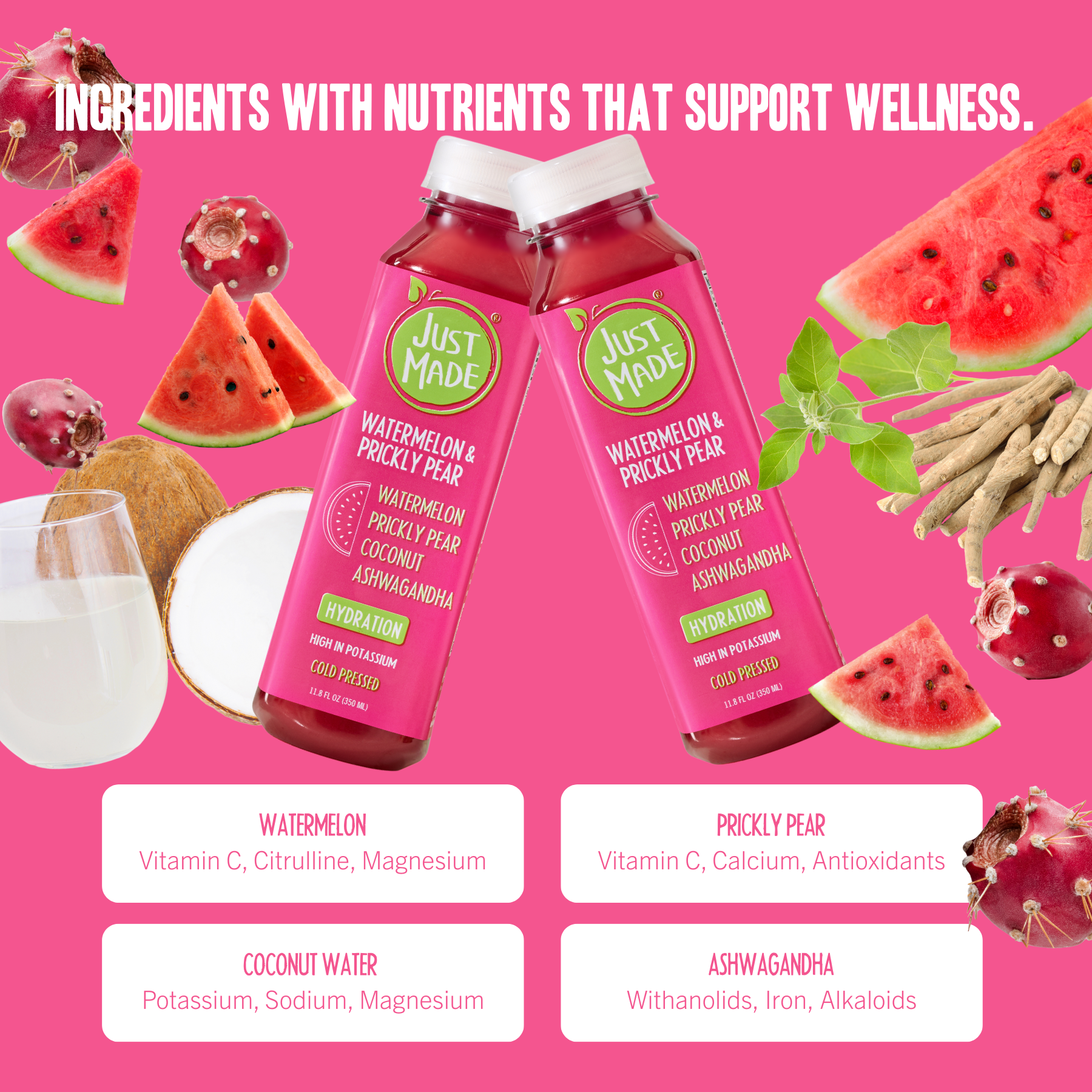 Just Made Foods - Wholesale Wellness Juice/Tonic - Watermelon & Prickly Pear1