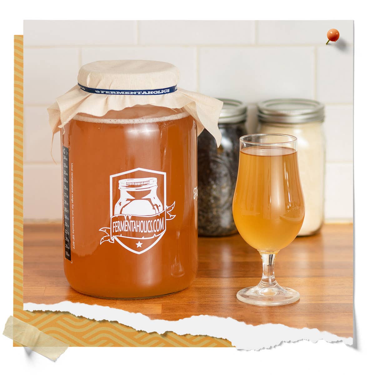 Fermentaholics - Wholesale Kombucha - Classic Kombucha Scoby5
