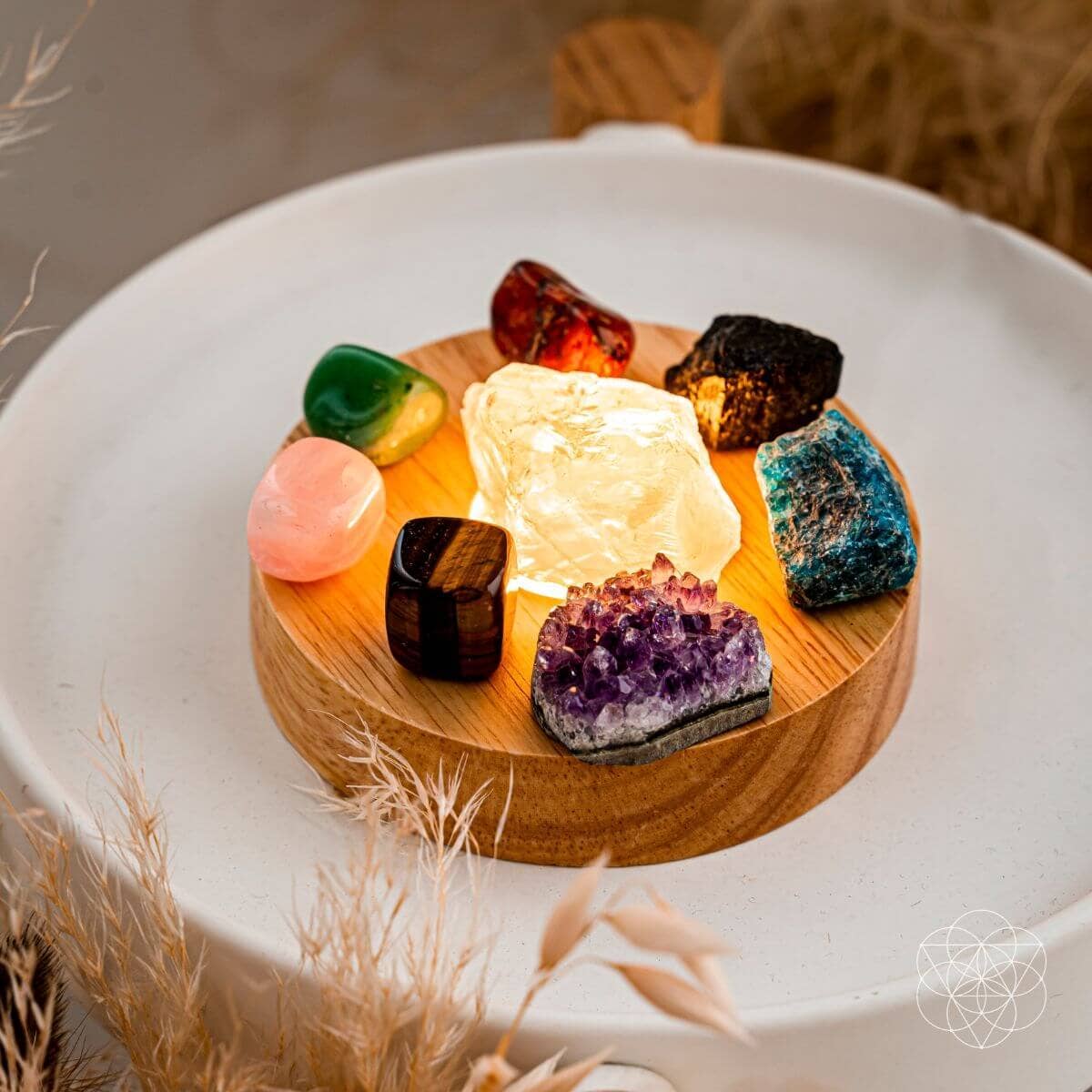 Conscious Items - Vendita all'ingrosso Lampada da scrivania/d'accento - La lampada a energia naturale3