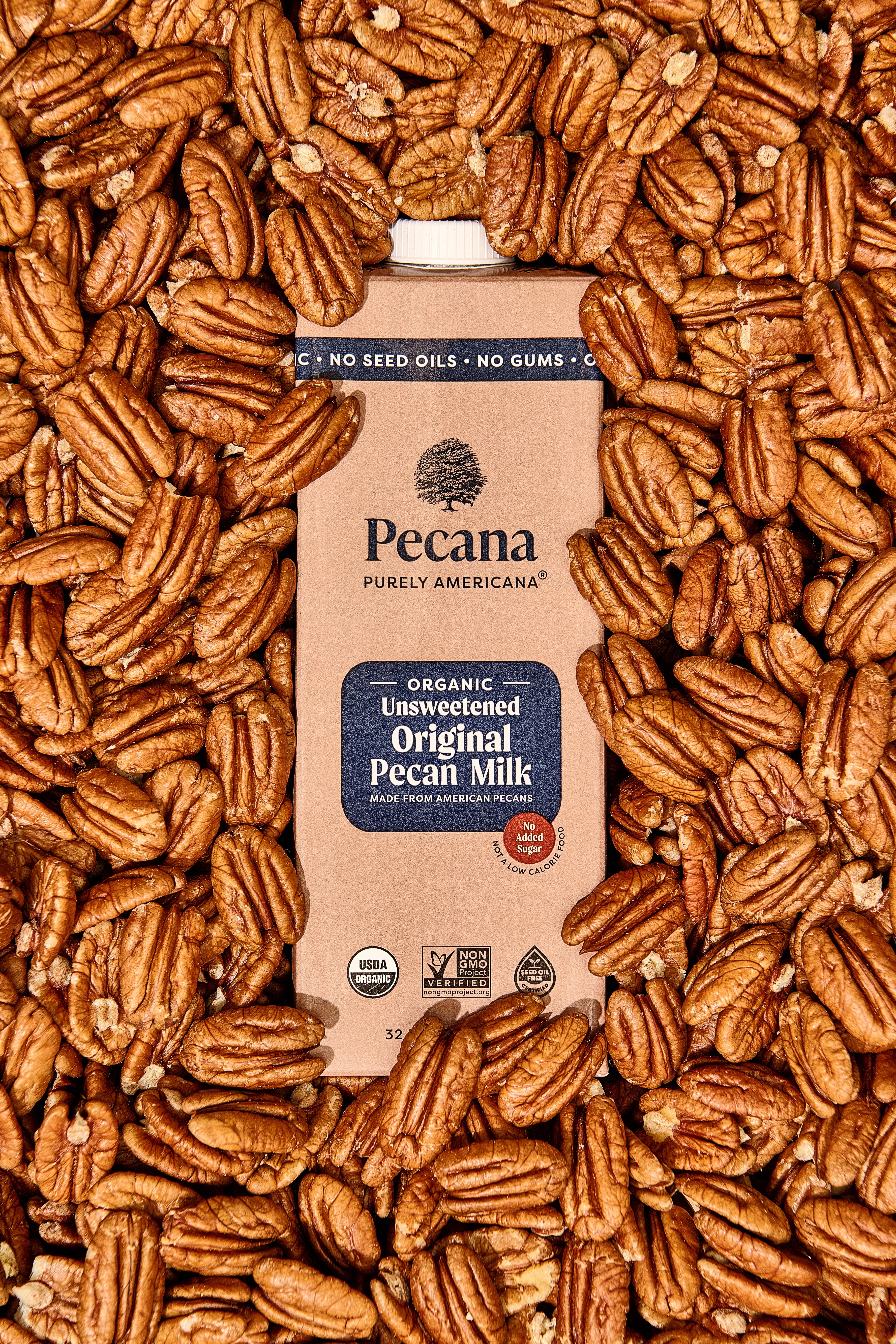 Pecana - Vente Boisson végétale - Lait de pacane biologique original non sucré6