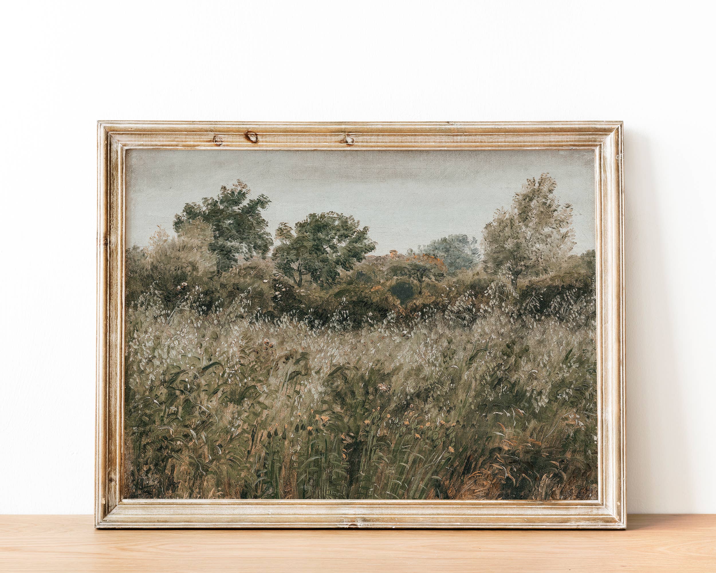 Sugar & Canvas - Wholesale Art Print - Rustic Vintage European Flower Grass Field Art Print VP611