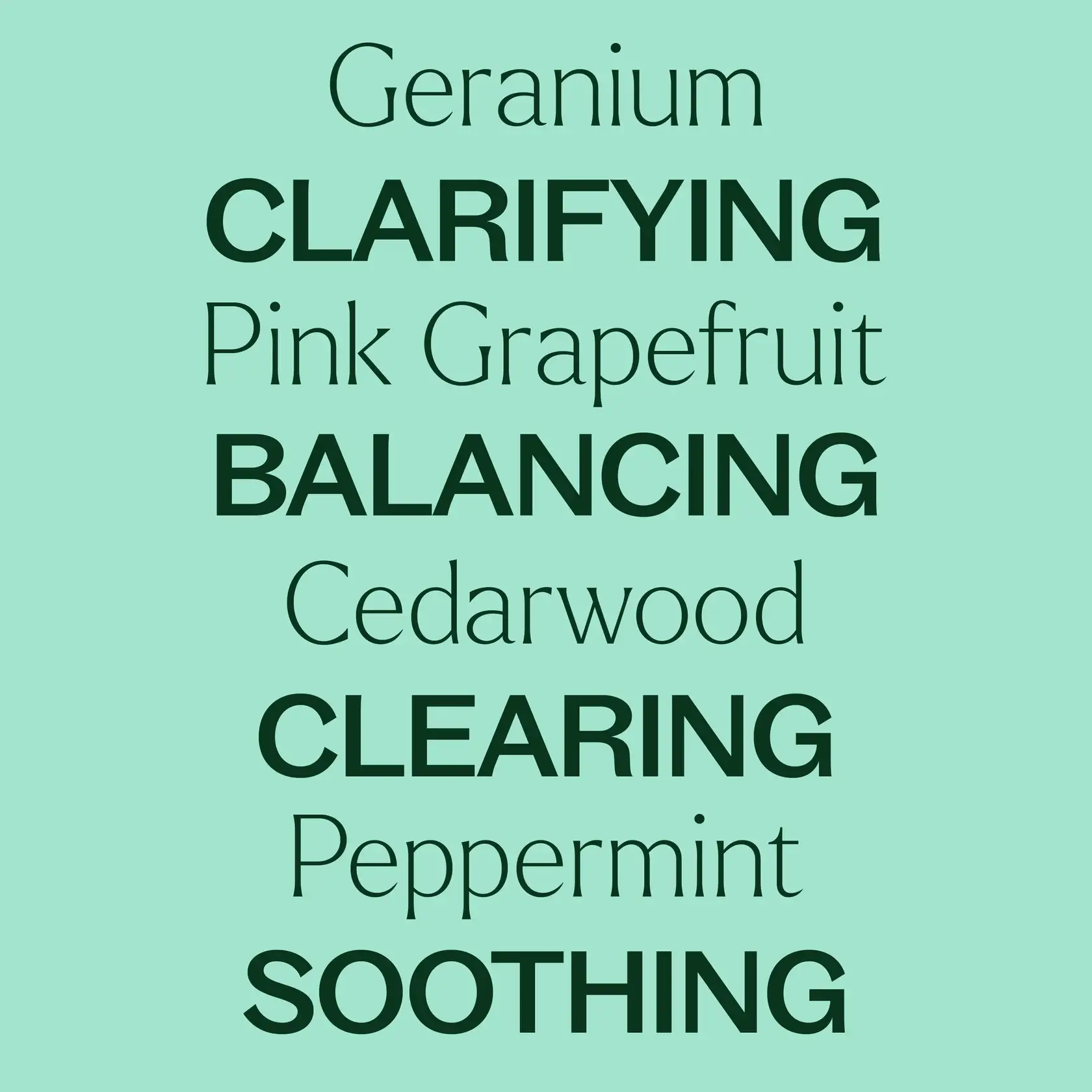 Plant Therapy - Wholesale Essential Oil Roll-On - Zit Fighter Synergy Prediluted Essential Oil Roll-on11