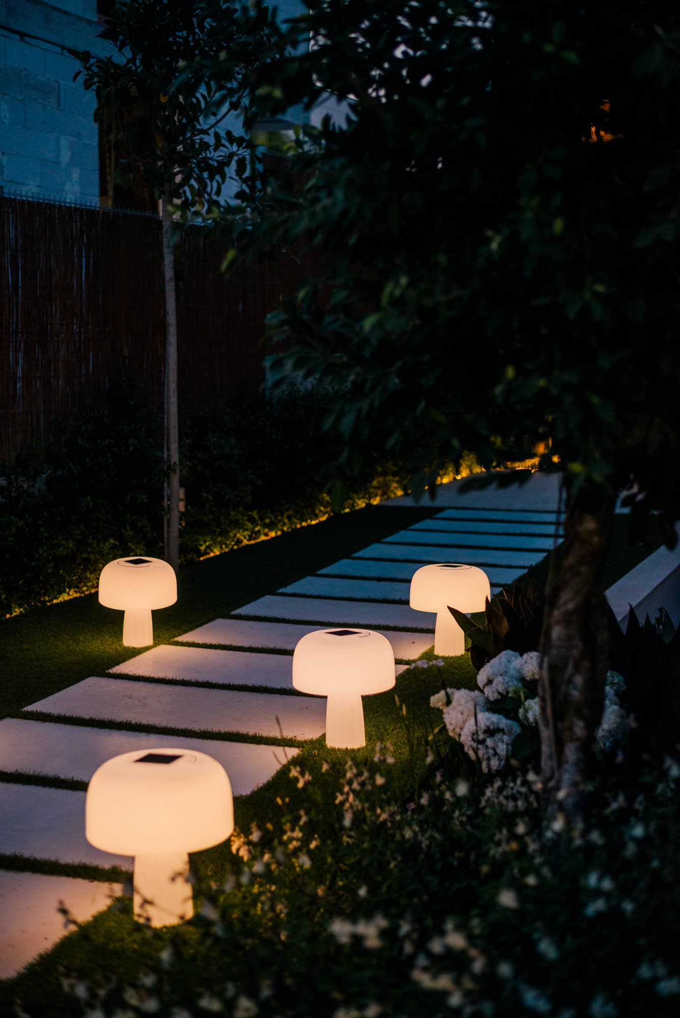 Goodnight Light - Wholesale Accent/Desk Lamp - The Boleti Lamp - Solar powered, portable lamp4